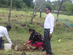 World Environment Day 2023