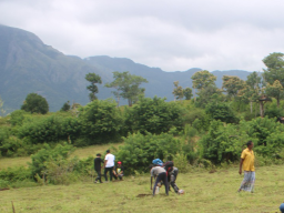 World Environment Day 2023